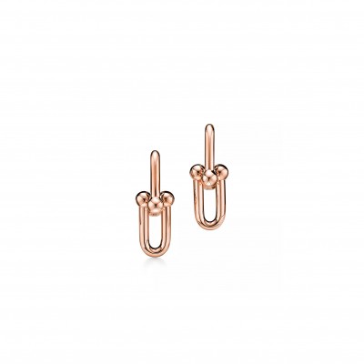 TIFFANY HARDWEAR MEDIUM LINK EARRINGS 73584590